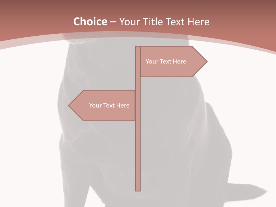 Pets Sitting Horizontal PowerPoint Template