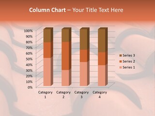 Architecture Detail Removable Hardtop PowerPoint Template