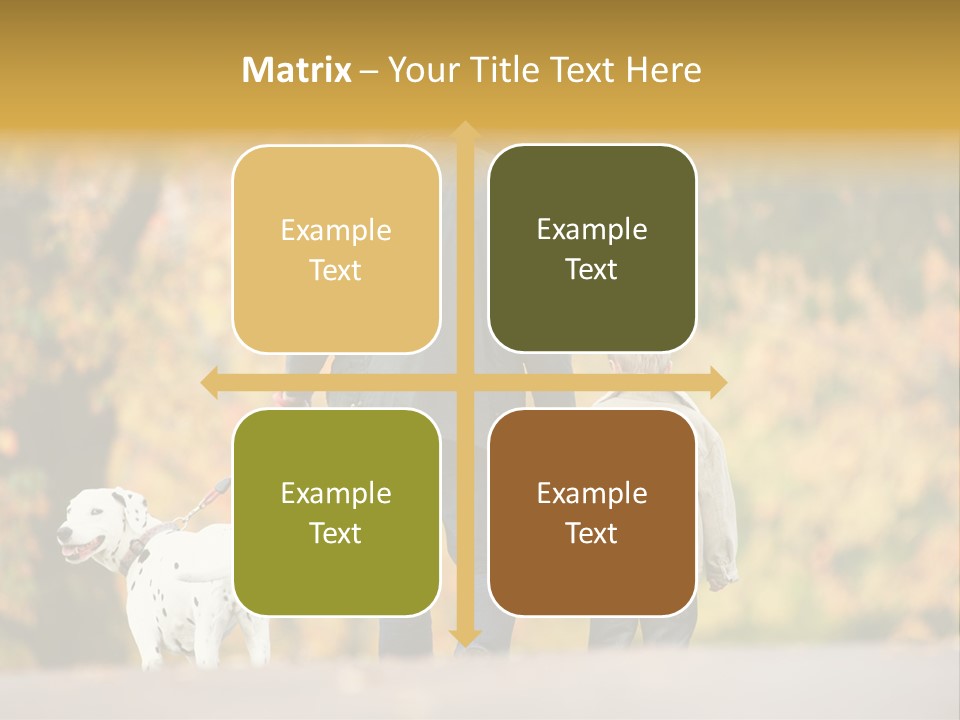 Year Old Exercise Five Year Old PowerPoint Template