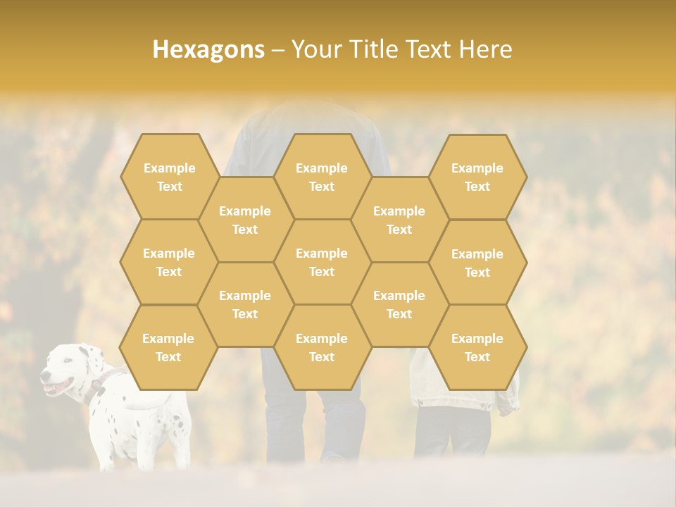 Year Old Exercise Five Year Old PowerPoint Template