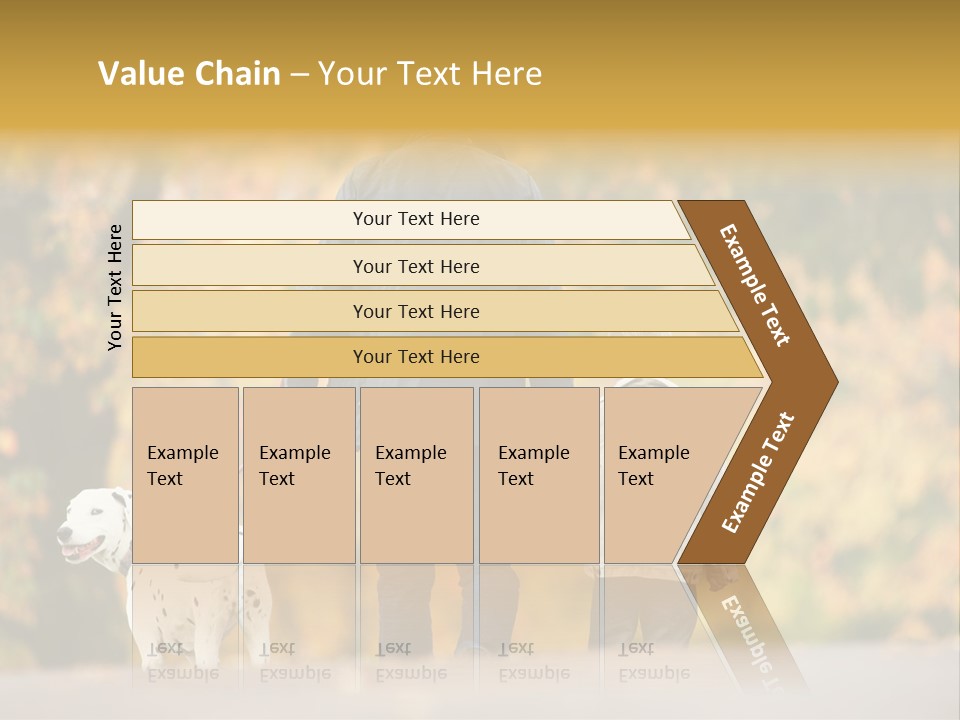 Year Old Exercise Five Year Old PowerPoint Template