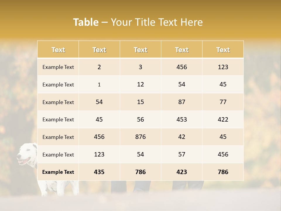 Year Old Exercise Five Year Old PowerPoint Template