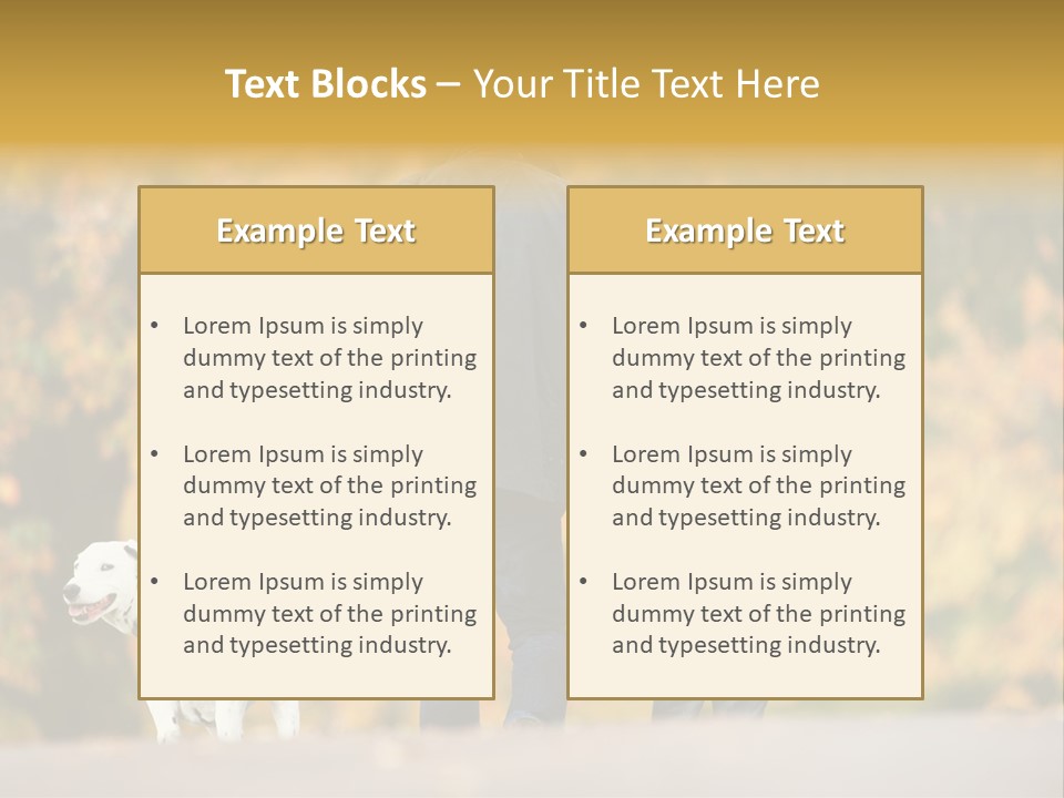 Year Old Exercise Five Year Old PowerPoint Template