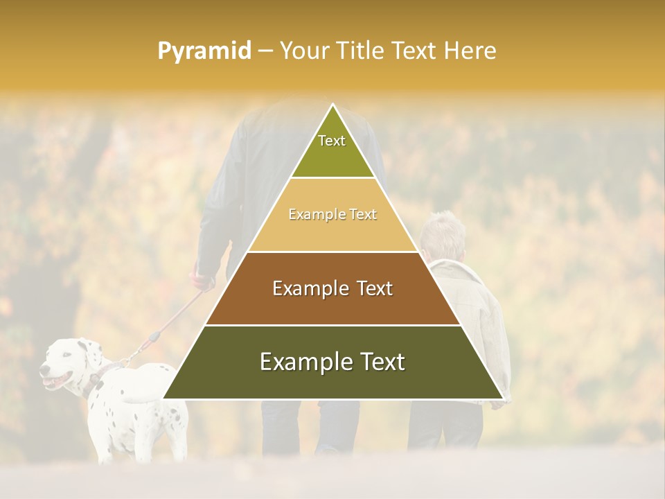 Year Old Exercise Five Year Old PowerPoint Template