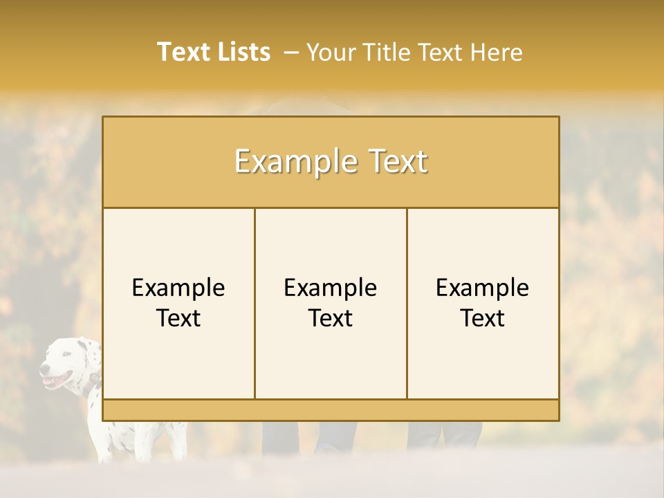 Year Old Exercise Five Year Old PowerPoint Template