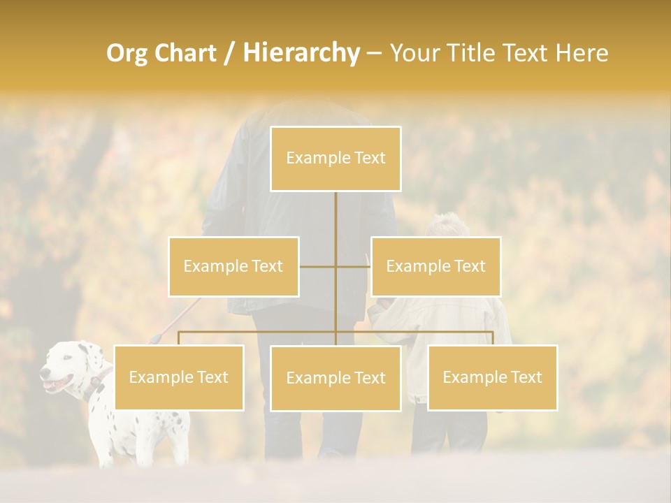 Year Old Exercise Five Year Old PowerPoint Template