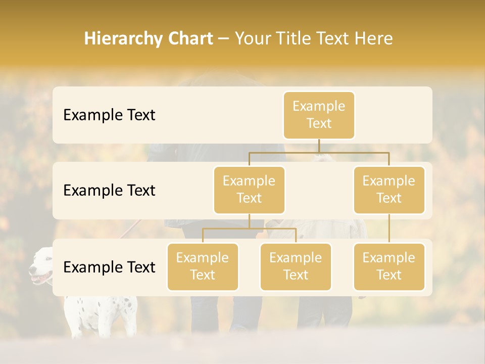 Year Old Exercise Five Year Old PowerPoint Template