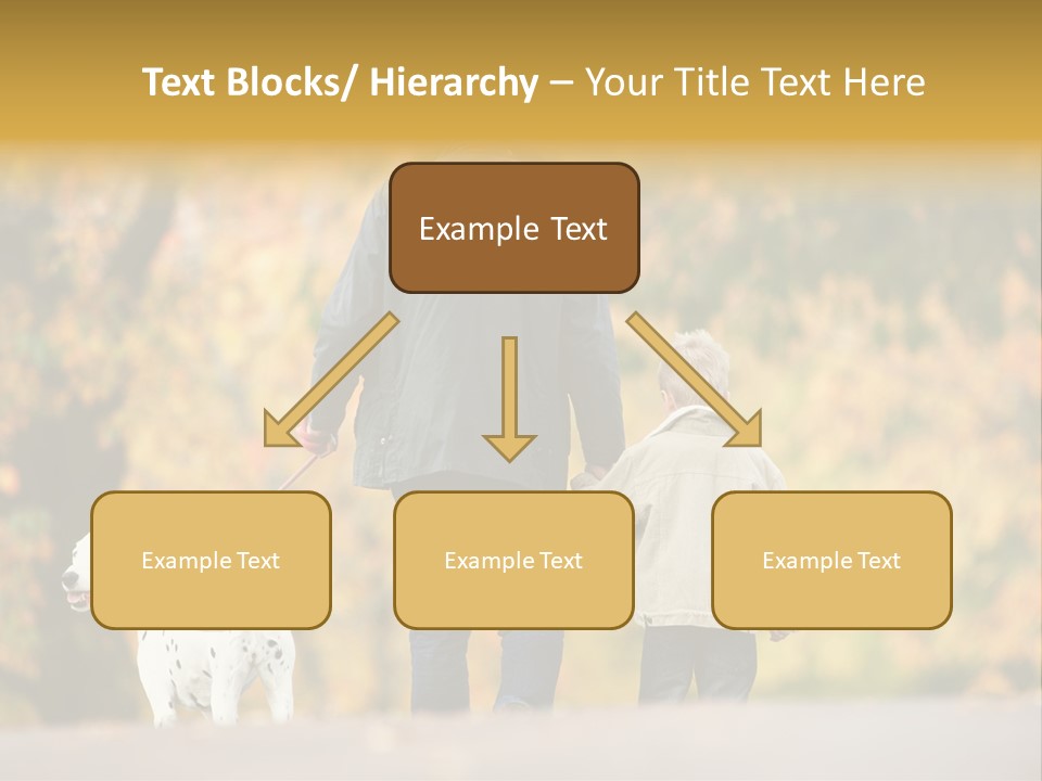 Year Old Exercise Five Year Old PowerPoint Template