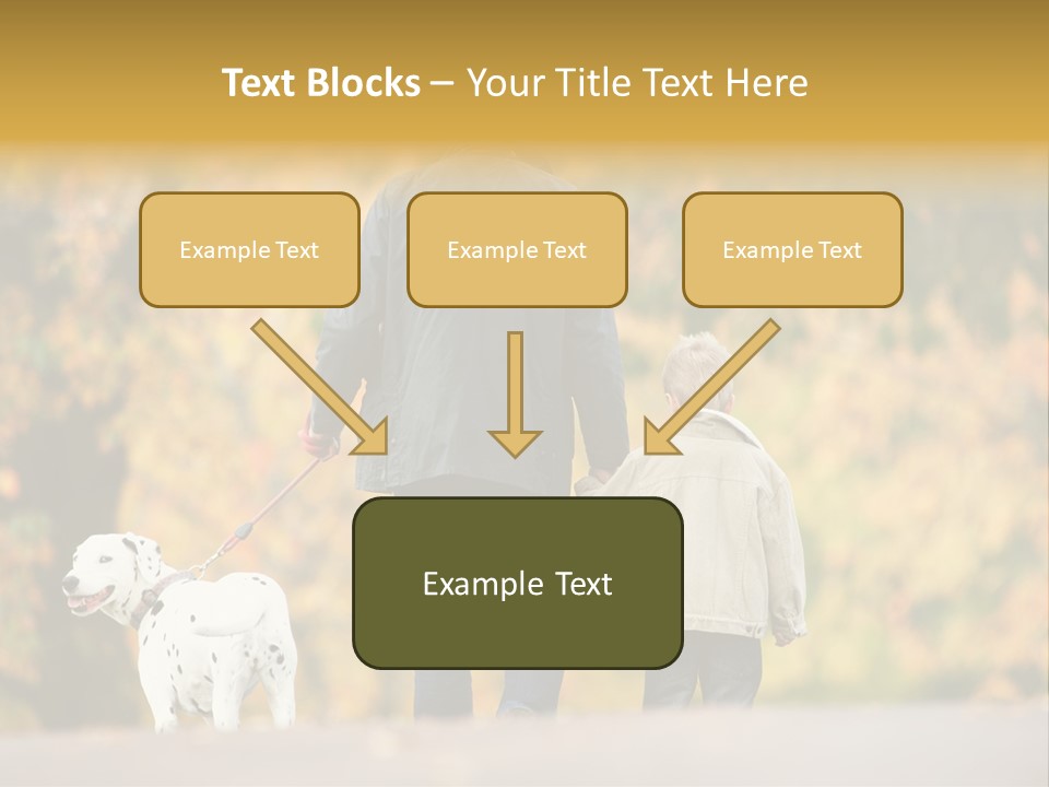 Year Old Exercise Five Year Old PowerPoint Template