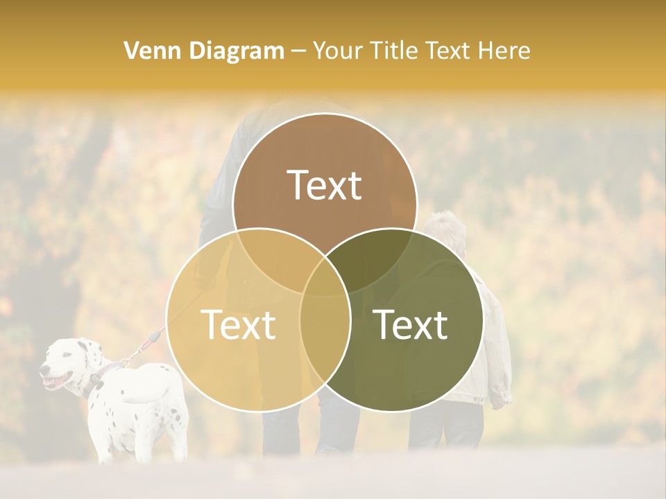 Year Old Exercise Five Year Old PowerPoint Template