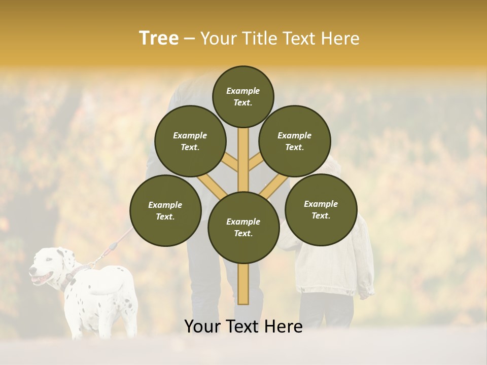 Year Old Exercise Five Year Old PowerPoint Template