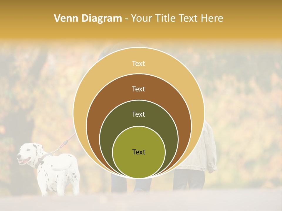 Year Old Exercise Five Year Old PowerPoint Template