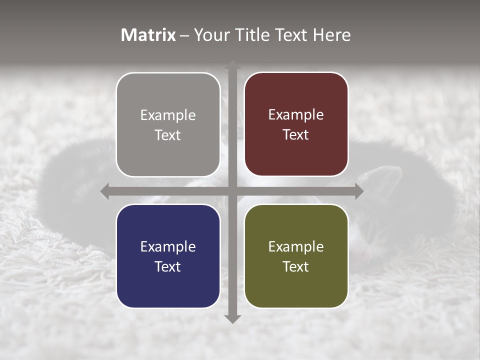 Born Hair Curious PowerPoint Template