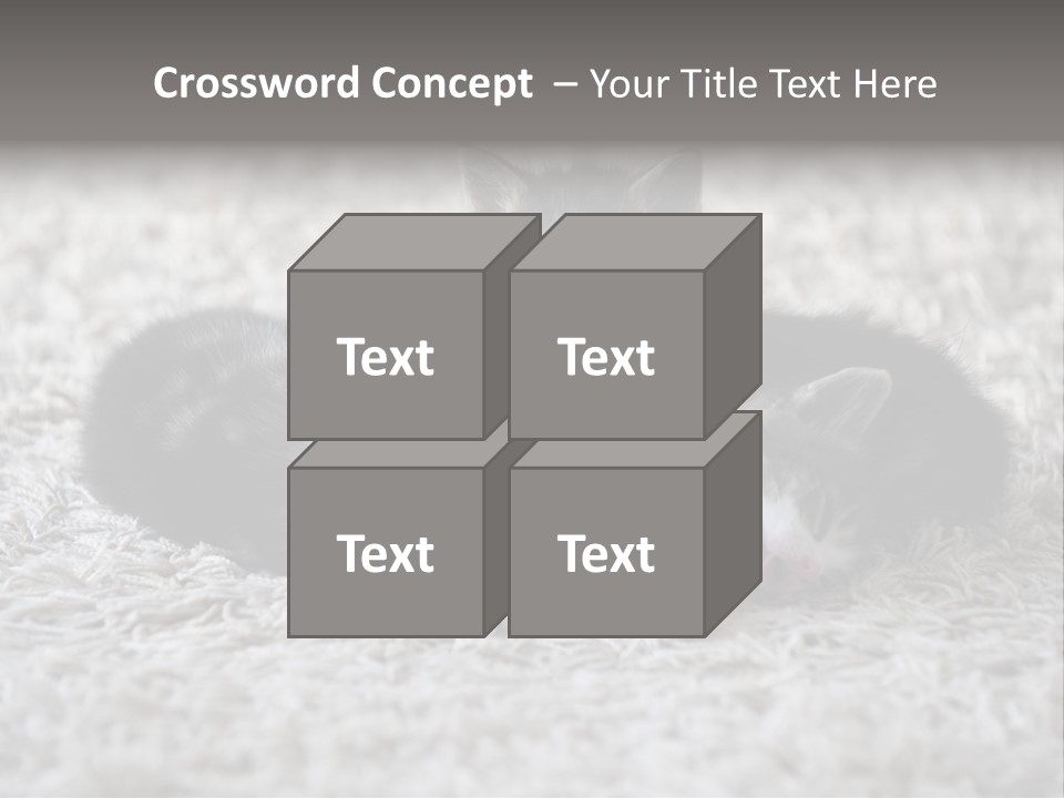 Born Hair Curious PowerPoint Template