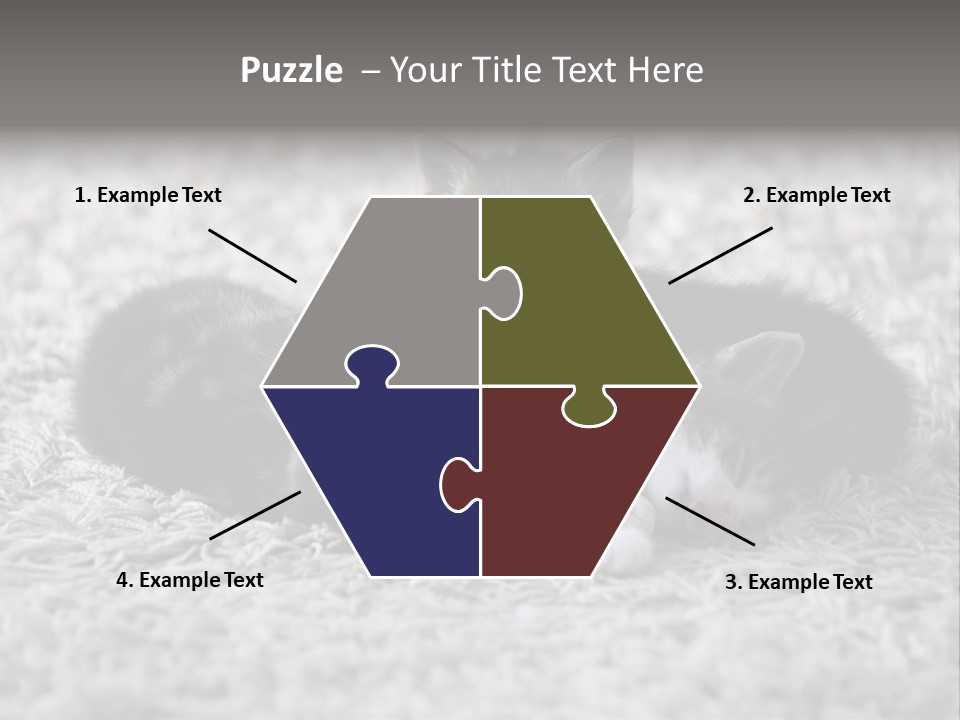 Born Hair Curious PowerPoint Template