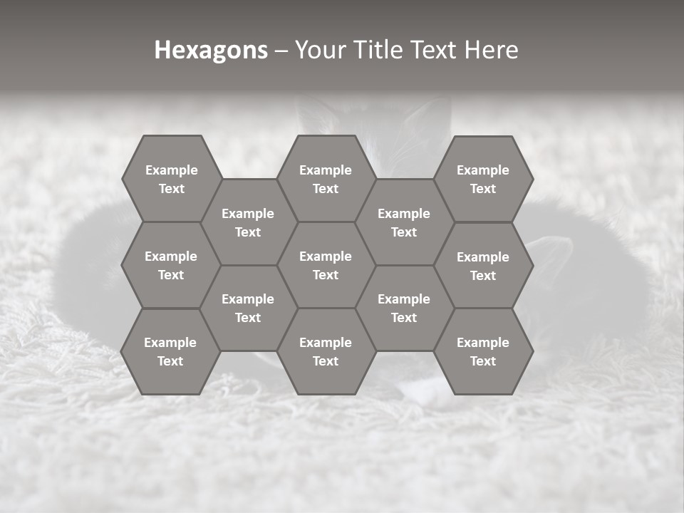 Born Hair Curious PowerPoint Template