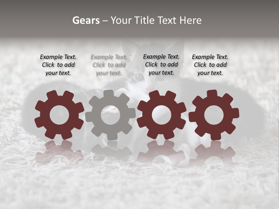 Born Hair Curious PowerPoint Template