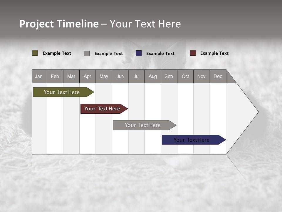 Born Hair Curious PowerPoint Template