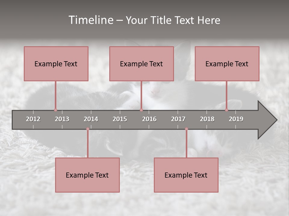 Born Hair Curious PowerPoint Template