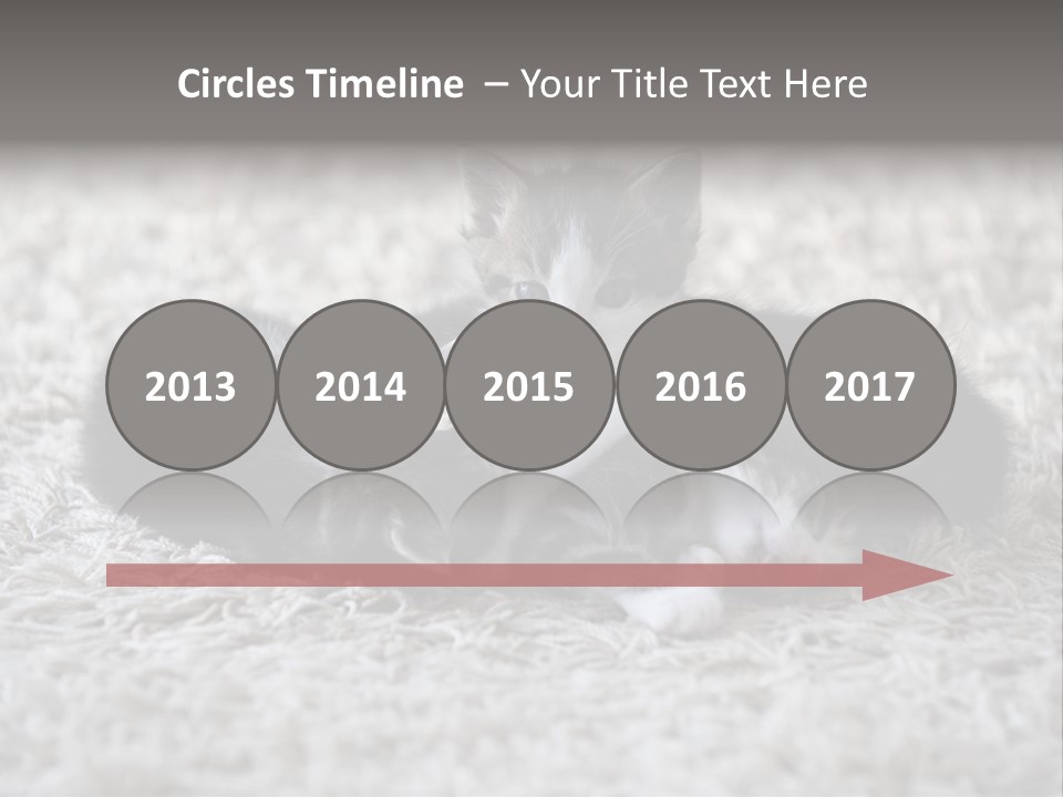 Born Hair Curious PowerPoint Template