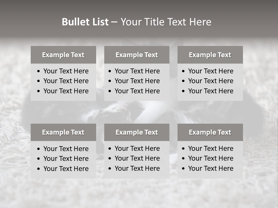 Born Hair Curious PowerPoint Template