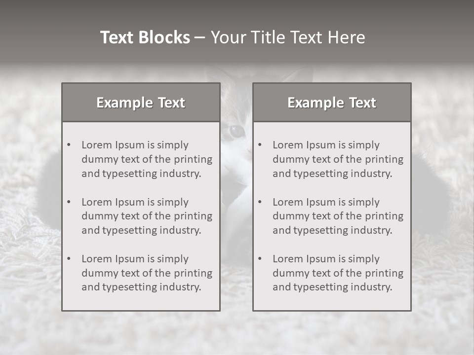 Born Hair Curious PowerPoint Template