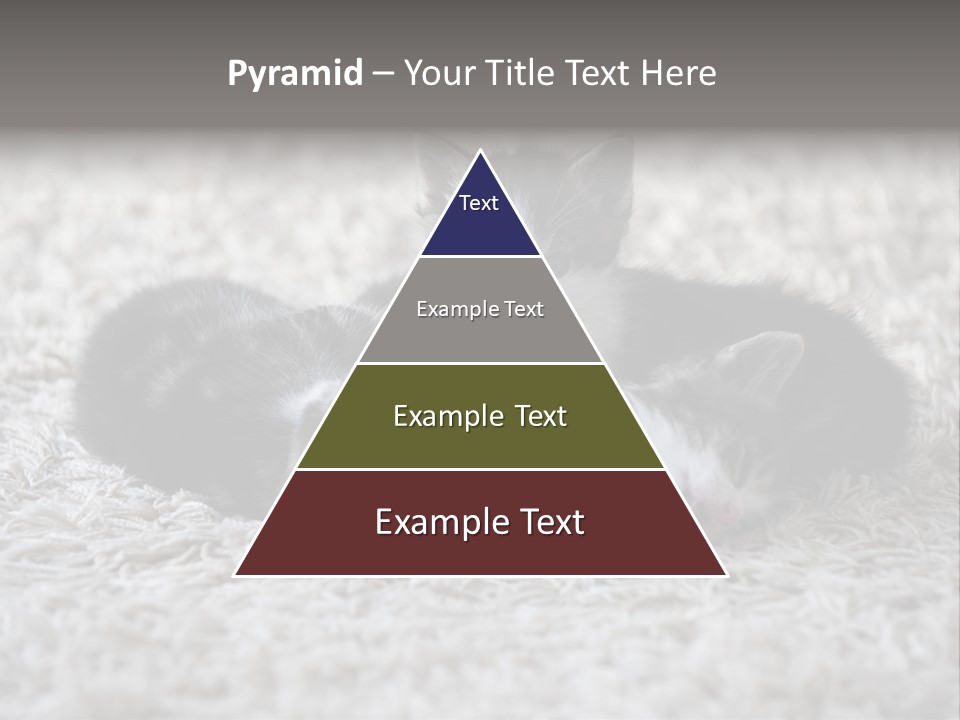 Born Hair Curious PowerPoint Template