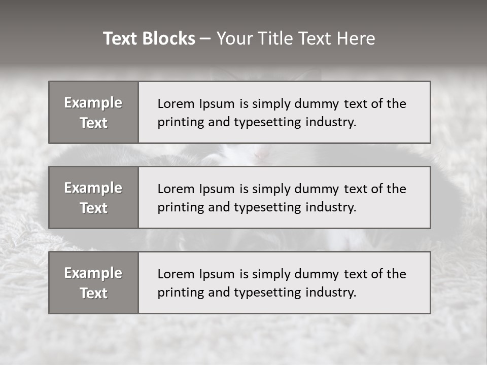 Born Hair Curious PowerPoint Template