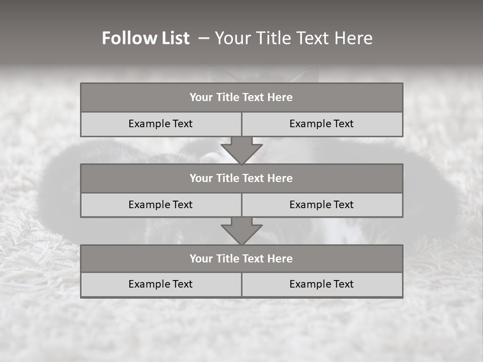 Born Hair Curious PowerPoint Template