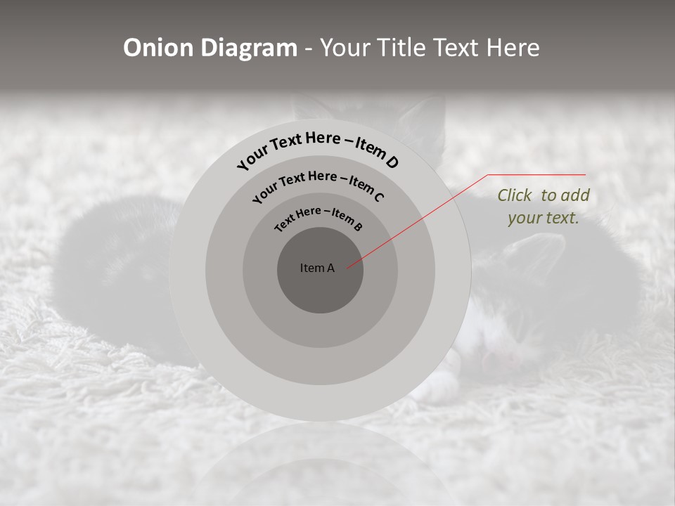 Born Hair Curious PowerPoint Template