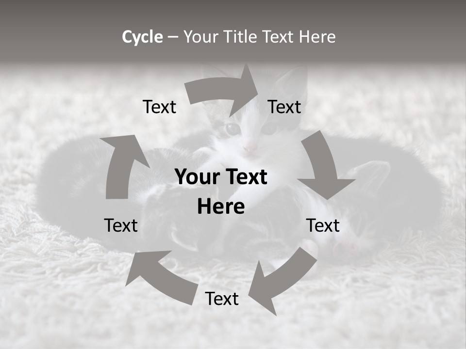 Born Hair Curious PowerPoint Template