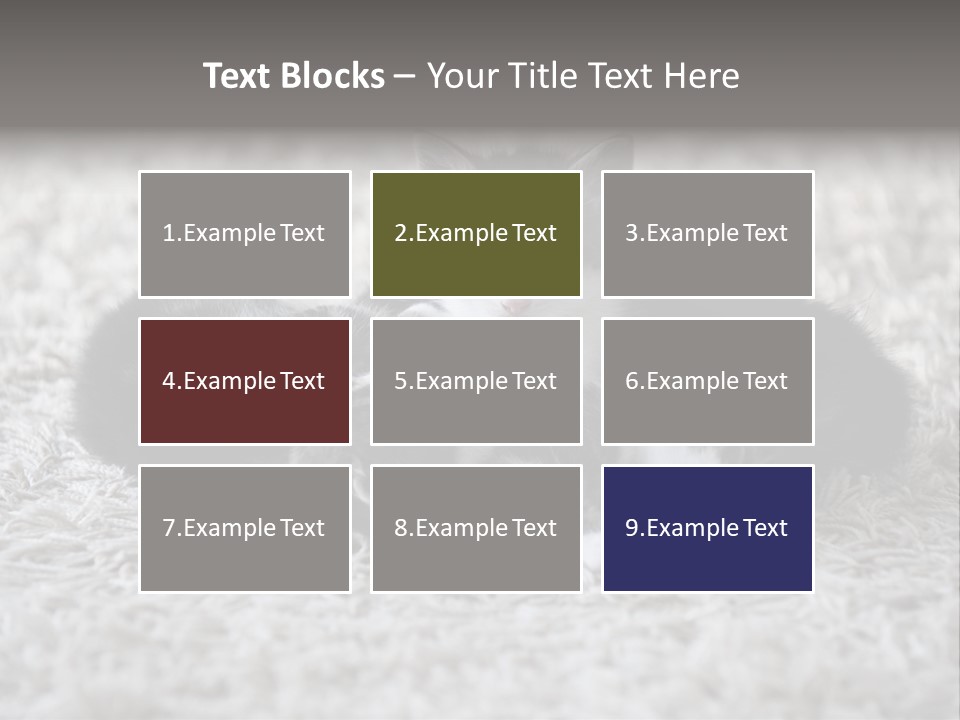 Born Hair Curious PowerPoint Template