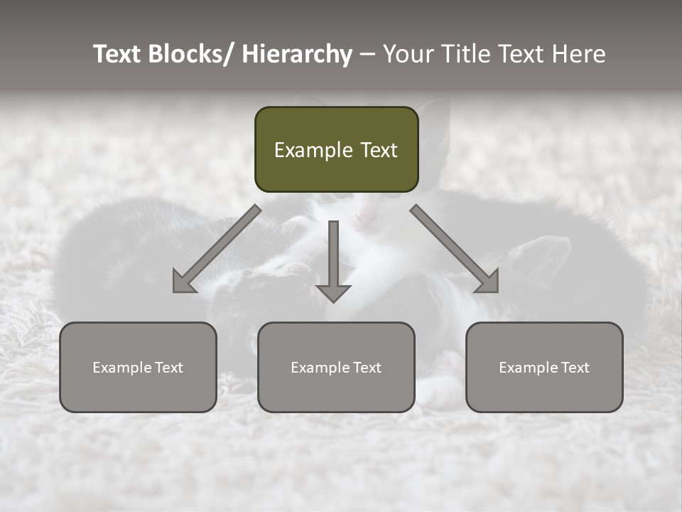 Born Hair Curious PowerPoint Template