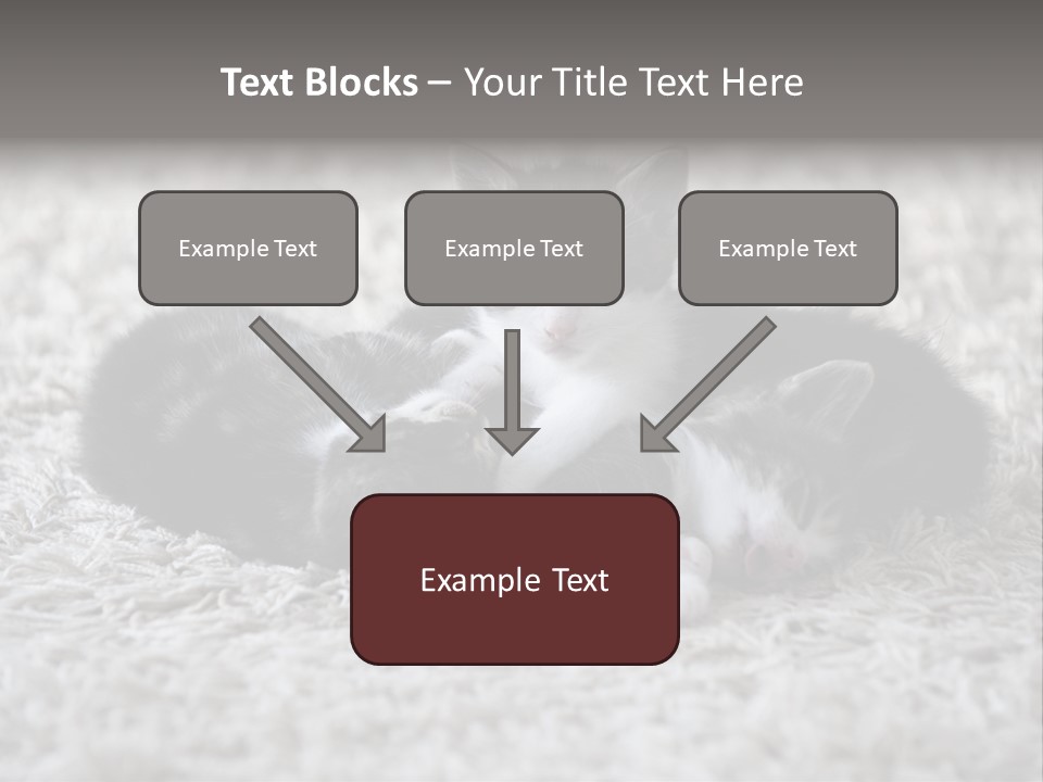 Born Hair Curious PowerPoint Template