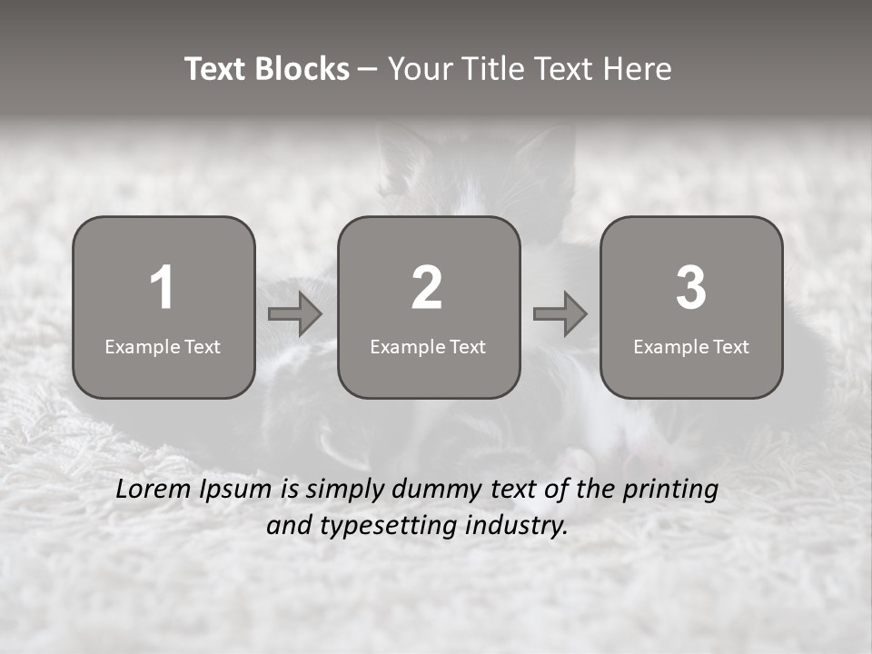 Born Hair Curious PowerPoint Template