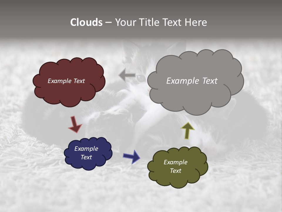 Born Hair Curious PowerPoint Template