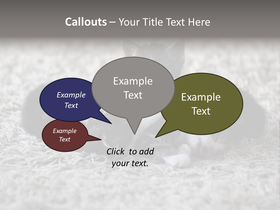 Born Hair Curious PowerPoint Template