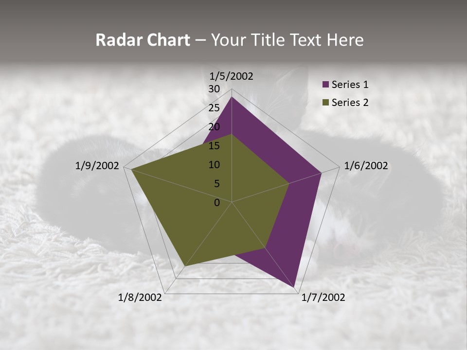 Born Hair Curious PowerPoint Template