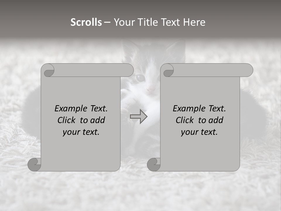 Born Hair Curious PowerPoint Template