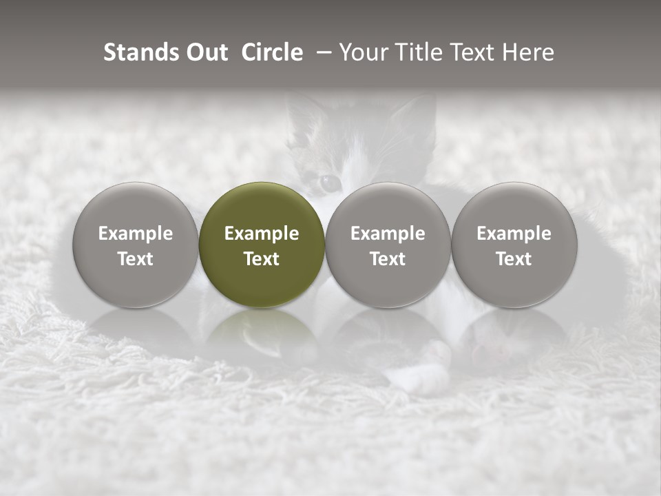 Born Hair Curious PowerPoint Template