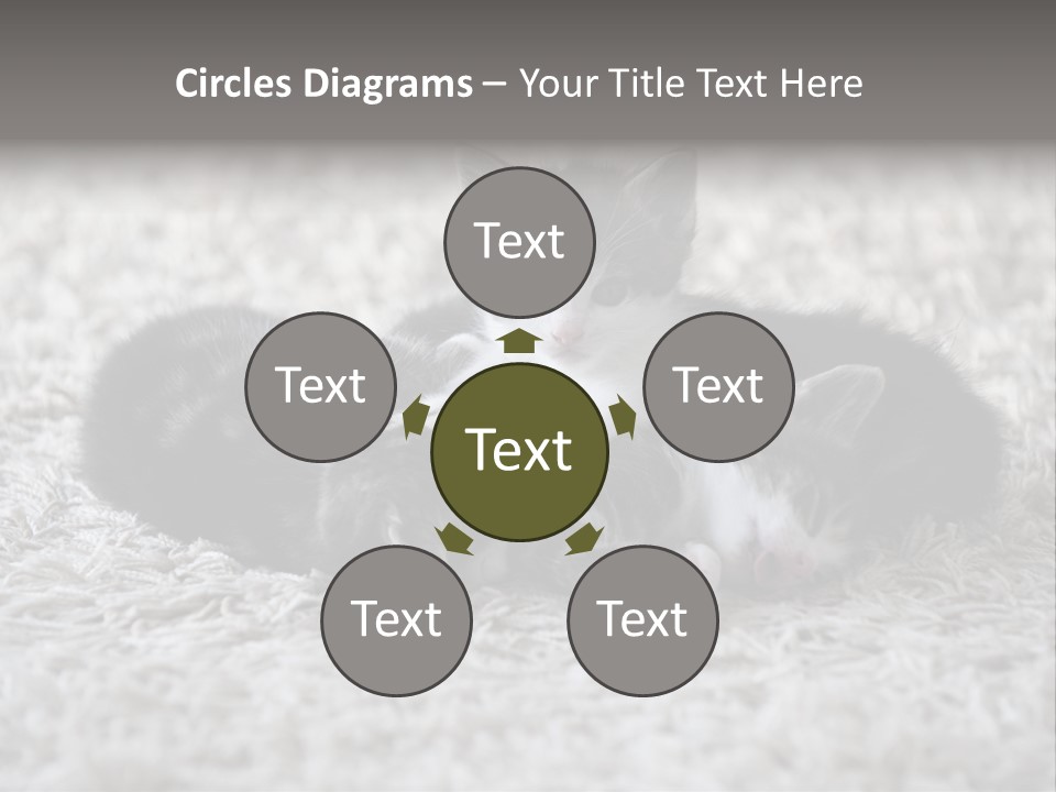 Born Hair Curious PowerPoint Template