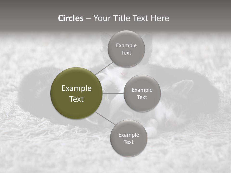 Born Hair Curious PowerPoint Template