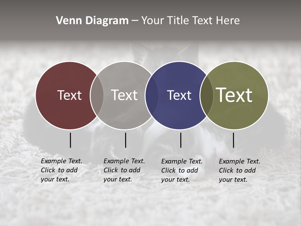 Born Hair Curious PowerPoint Template