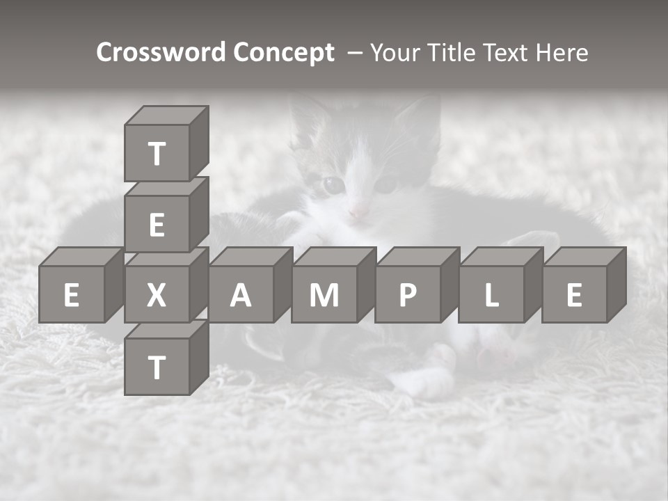 Born Hair Curious PowerPoint Template