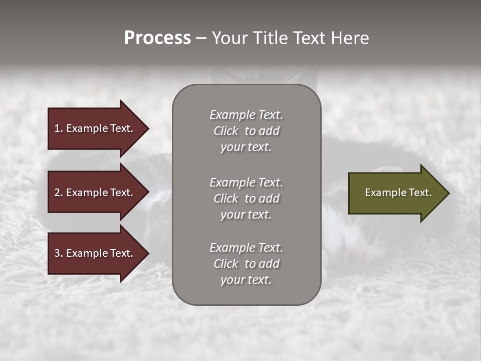 Born Hair Curious PowerPoint Template