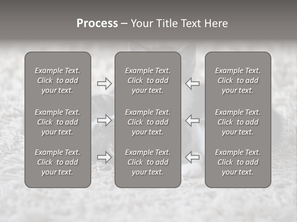 Born Hair Curious PowerPoint Template