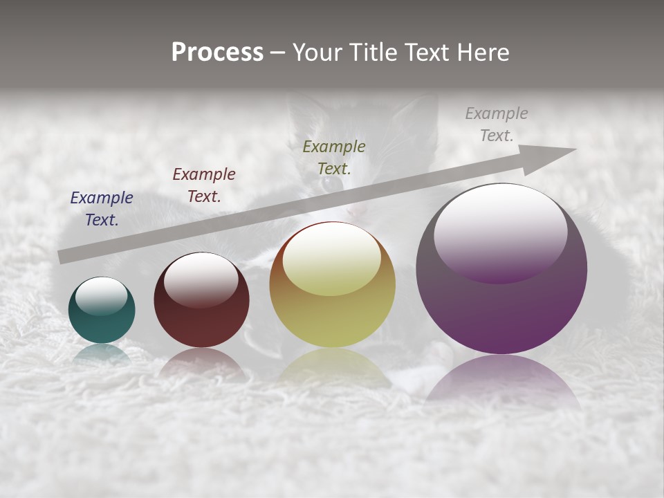 Born Hair Curious PowerPoint Template