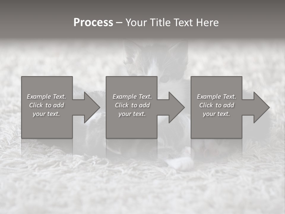 Born Hair Curious PowerPoint Template