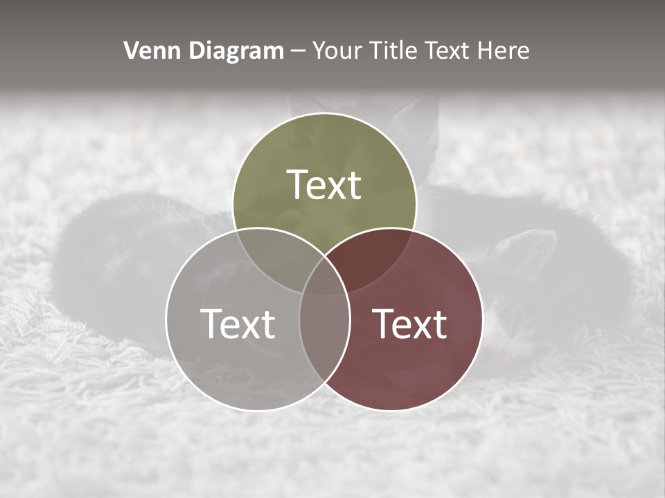 Born Hair Curious PowerPoint Template