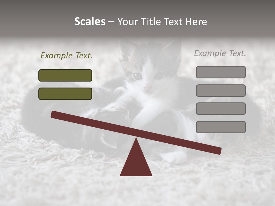 Born Hair Curious PowerPoint Template